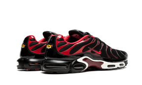 Nike Air Max Plus Black and Red