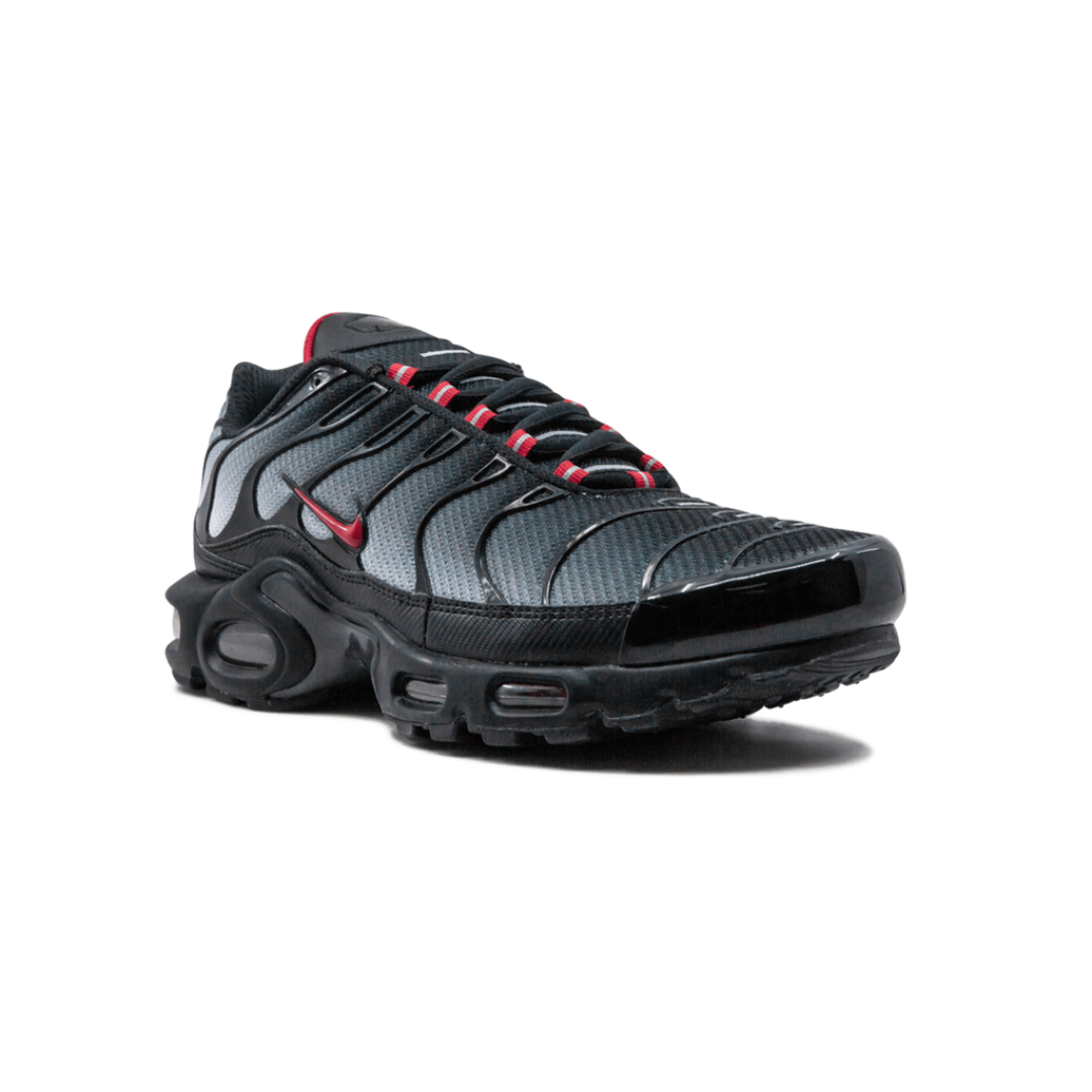 Nike Air Max Plus Blue and Red