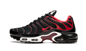 Nike Air Max Plus Black and Red