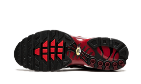 Nike Air Max Plus Black and Red